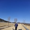 초록숲민박 이미지