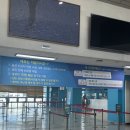 마라도정기여객선 이용 후기 설레는 마라도 여행의 시작