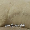 온달만두분식