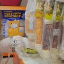 고고하개 이미지