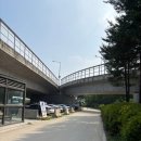 꽃길어린이집 | 하남 여름에도 걷기 좋은 그늘 산책로 추천 왕복 10km 미사뚝방꽃길