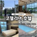 코델리아호텔 | 코델리아호텔 서귀포 코델리아s호텔 성산일출봉 뷰 가성비 호텔 추천