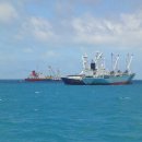 참치랑가재랑 이미지