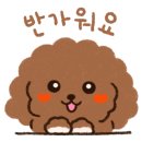 서문돌짜장 이미지