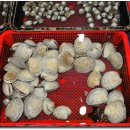 한산조개구이 이미지