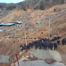 보람 농원 이미지