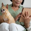 고양 우리아이 동물병원 이미지