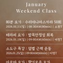 (온라인)요가 | 갓생 성공 1등공신 루트인 온라인요가 솔직후기