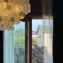 비하인드 제주홈 | 제주도 서귀포 숙소 비하인드 제주홈2 후기