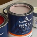 벤자민 | 인생 첫 셀프 페인팅 :: 세탁실 페인팅 리얼 후기 - 벤자민무어