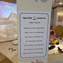 아쿠아파크 이미지