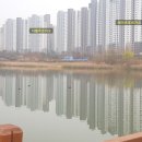 뉴코아아울렛 앞 횡단보도 이미지