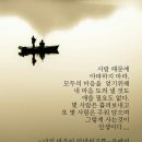 보고스
