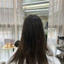 대덕대로 | 대전 둔산동 미용실 추천 “아포헤어” 레이어드컷 후기