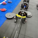 F45 일산 | 정발산그룹피티, F45 일산에서 상체 집중 운동 체험 후기