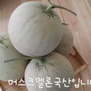Tea story (티스토리) 이미지