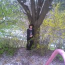 강화초등학교 이미지