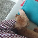 LK골프클럽 이미지