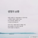 이심전심 네이버블로그