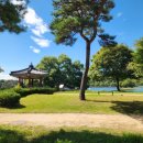 꿈의궁전모텔 | 충북 일단살아보기 제천 일주일살기 7일 | 탁사정 배론성지 오디향 의림지 카페 유알비