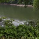 연곡저수지 이미지