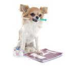 우리아이 동물메디컬센터 이미지