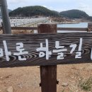 추자도나바론 Daum카페