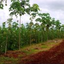 양마농장 이미지