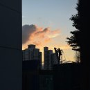 샤뜰레 | [Jul] 첫째주 일상: 그러려니 하고 살자