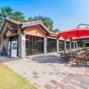 숲을 그리다 이미지