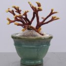 영지2농장 이미지