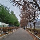 전곡근린공원 이미지