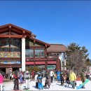 주)용평리조트 드래곤프라자 이미지