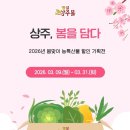 봄을담다 이미지