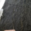 진도청정건어물 이미지