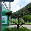 남후초등학교 이미지