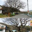 옥정마을경로당 이미지