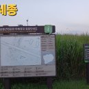 충남세종 숲뜰 근린공원 이미지