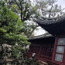 우송 | MSC 크루즈 상하이 기항 리얼후기｜우송(우쑹) 터미널→예원 택시 이동 꿀팁 &amp; 주의사항(시간 충분!)