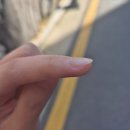 내돈내산 선유도 네일 살롱드디에스 후기