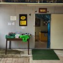 원주곤충마을박물관 이미지