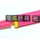 &lt; 2월 13일 &gt; 호르몬과 펌프 이미지