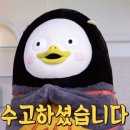 새소리음악중고등학교 이미지