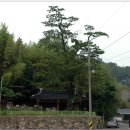 순천-36호 Daum카페