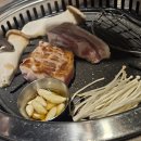 동삼초등학교 | 🍖 동삼동 고기집 추천 │ 가성비 좋은 숙성고기 맛집 거북이동네 후기