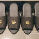 Hostel Vene(호스텔 베네) 이미지