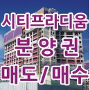 아양공인중개사사무소 이미지