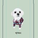 오독스(ODOX)