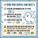 스피츠 | 강아지 사료 등급 순위 관절 약한 6살 스피츠 후기