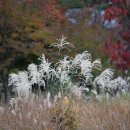 직업상담사 필기 - 노동시장론 이미지